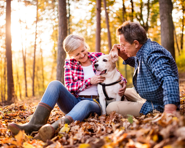Older Couple with dog